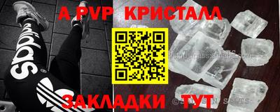стафф Заводоуковск
