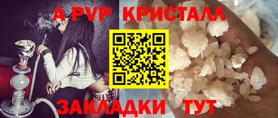 стаф Донской