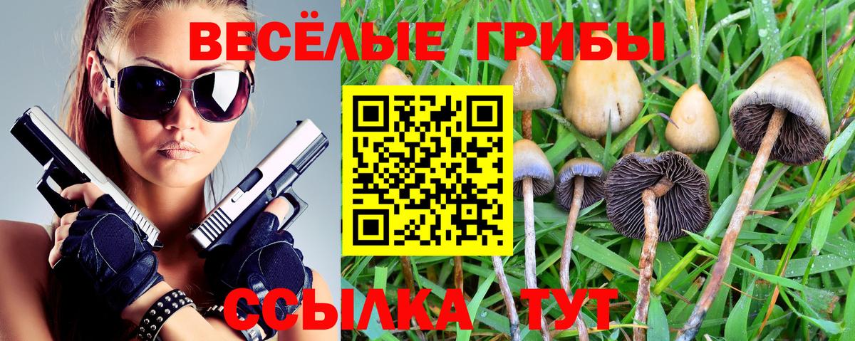 Псилоцибиновые грибы мицелий  Вход с VPN  Муравленко  Галлюциногенные грибы Cubensis 