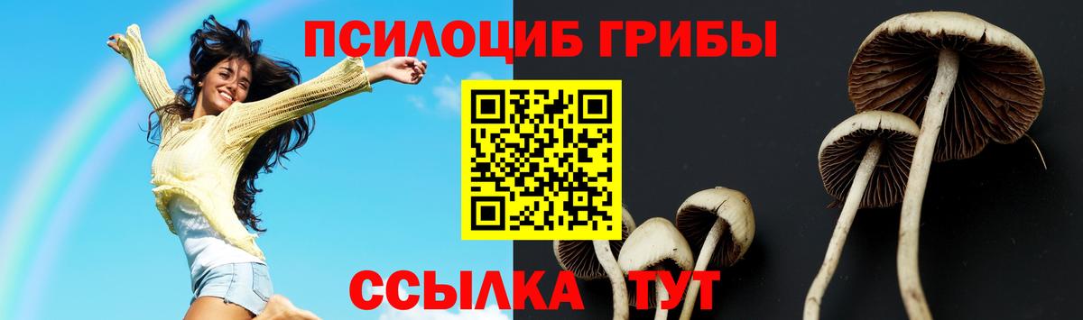 Галлюциногенные грибы мицелий Муравленко